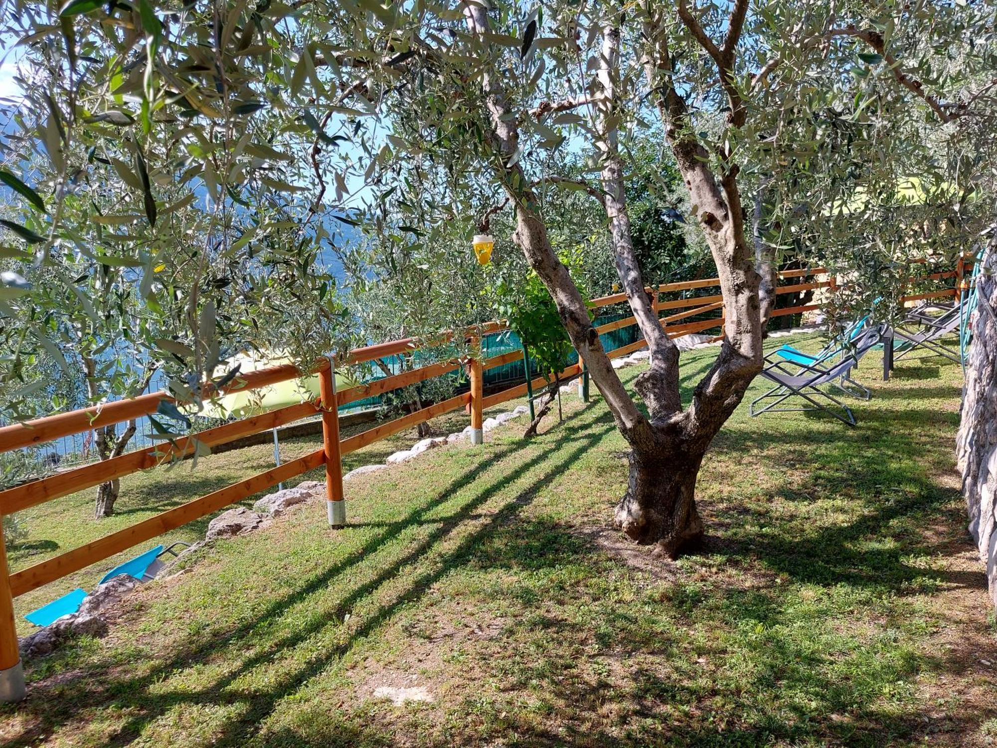 Tremosine Ulivi Sul Garda Garden By Gardadomusmea 아파트 외부 사진