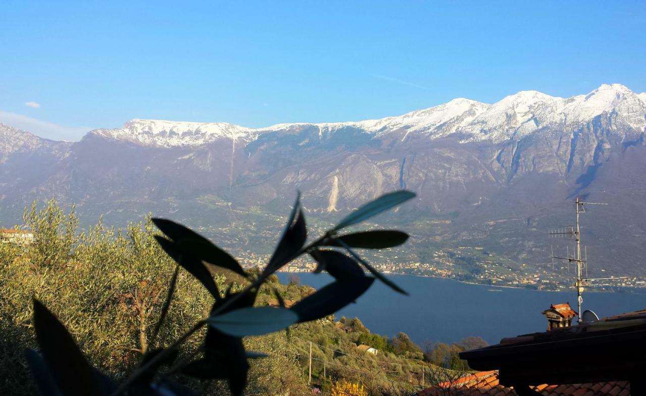 Tremosine Ulivi Sul Garda Garden By Gardadomusmea 아파트 외부 사진