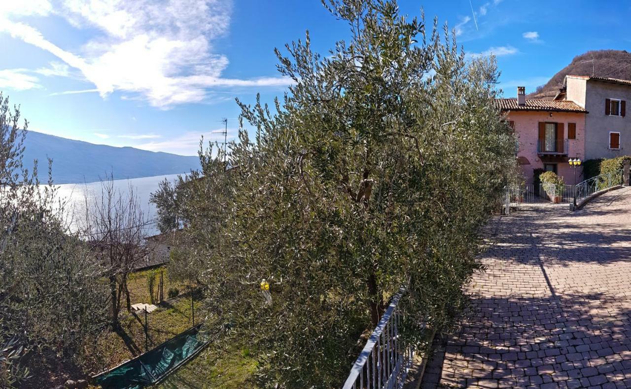Tremosine Ulivi Sul Garda Garden By Gardadomusmea 아파트 외부 사진
